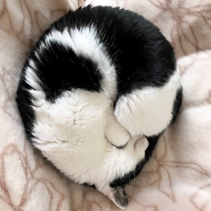 336908bd c080 46fc b20f e78129cf3a47 1519691143407