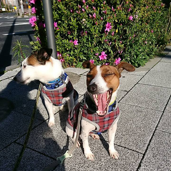 33696643 46a2 4a9a 995c 41865c2d19c5 1587247868523