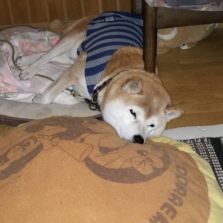 33697fdf 65e9 45b5 89d9 a07abd91e931 1671353624076