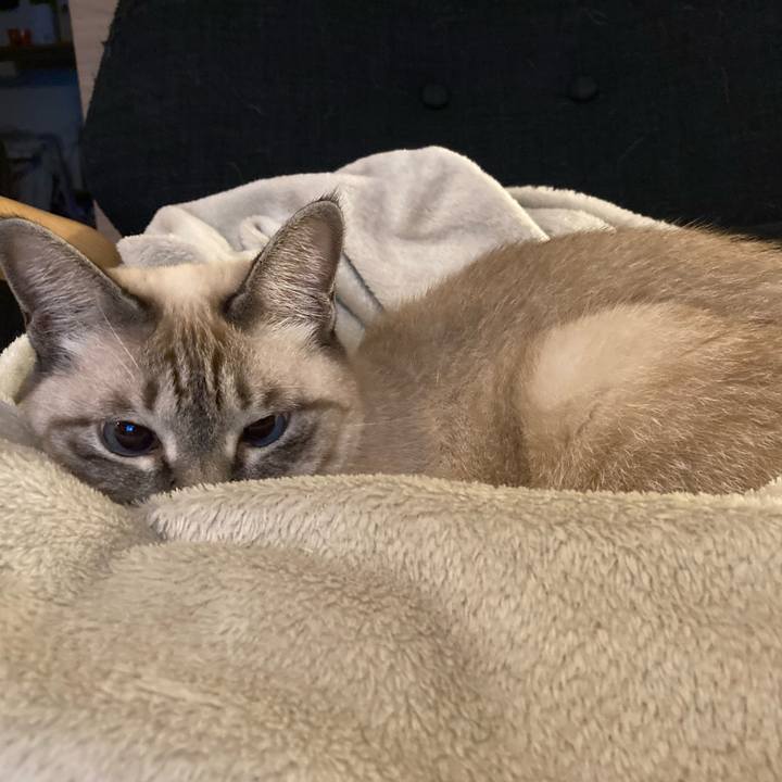 3369a0a8 ab68 4796 acbe 3a12598845cf 1668510540207