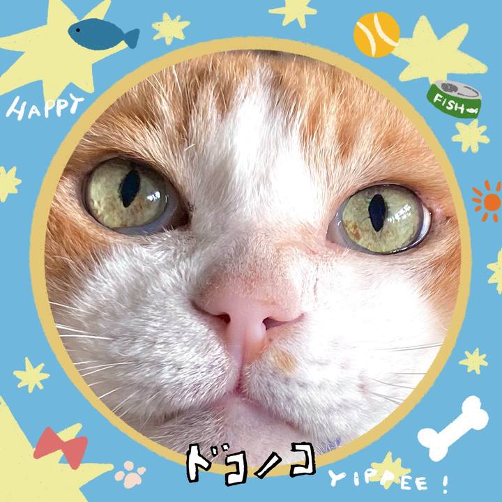 3369bd65 947c 4046 94f1 91ee78b0322c 1721099549526