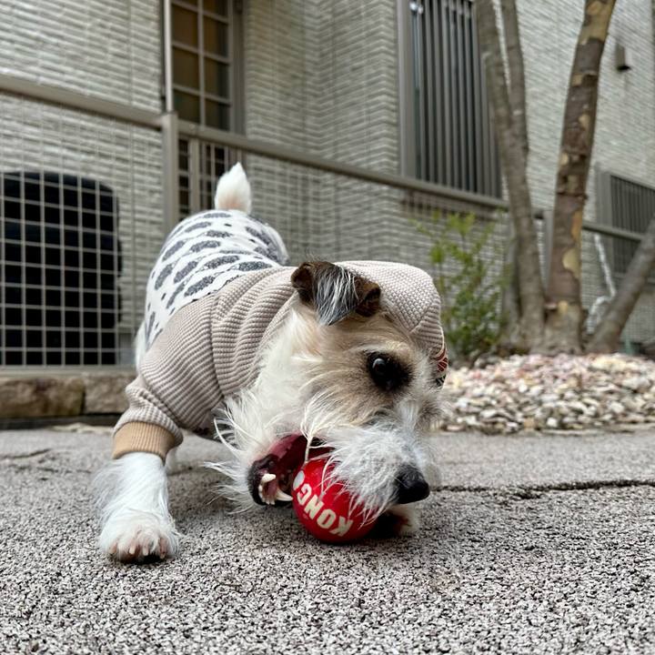 3369c0bb 3b2c 4756 9e1f 63b5b7c45c05 1704639176676