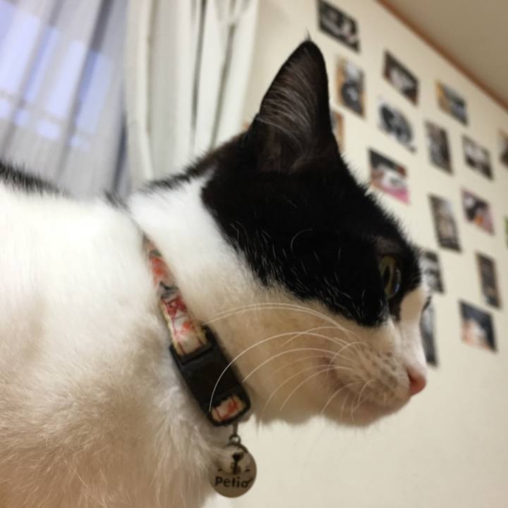 3369df6c 5104 48bb a9ff 940adffde459 1519287726010