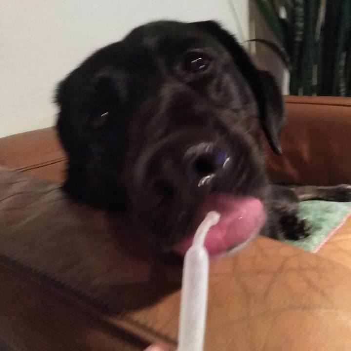 336a1d29 0542 44e5 a0a0 16b211ac1e37 1570795188930