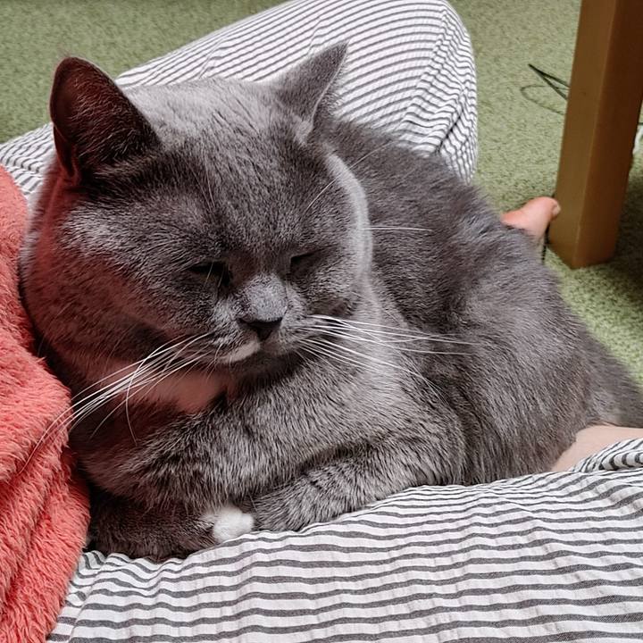 336a44ec 25e5 41a0 bd2a 99136c51be64 1668927840612