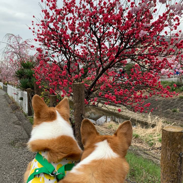 336a66e4 1ac0 4303 bde0 84f192110878 1616904699377