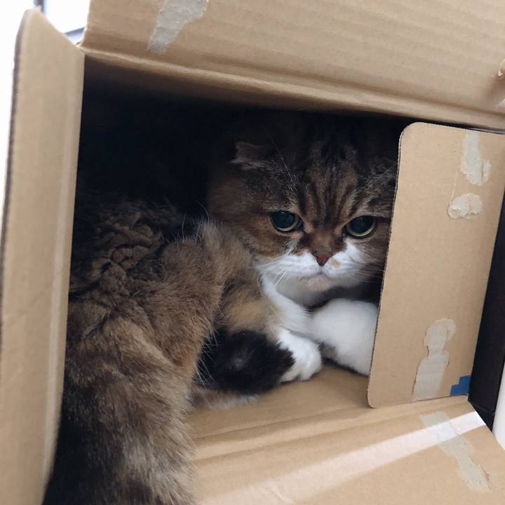 336a74bc 6893 4088 951a f888b72f726e 1548912659586