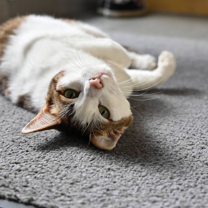 336a845b b9b2 43a7 925b 36f6592f47aa 1556212874130