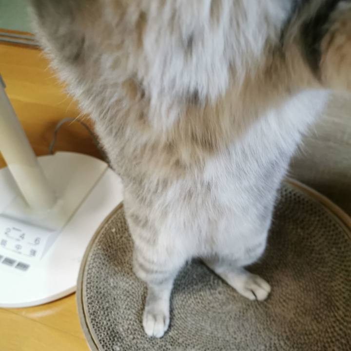 336a9b1c de4f 4d6c 8c81 e3417ed03263 1622729051044