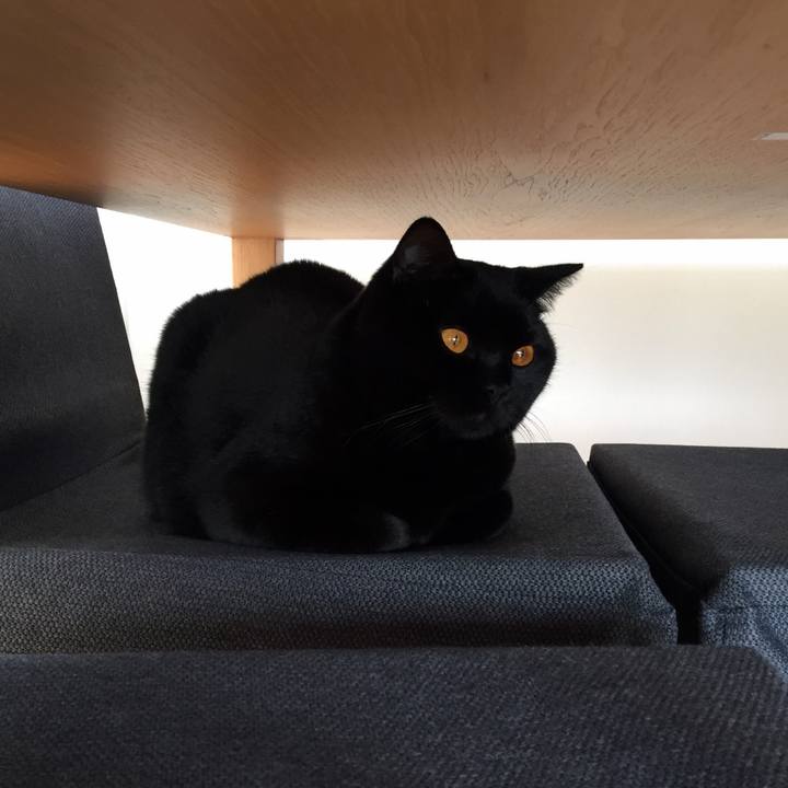 336ab51a 9ac9 4518 8ee8 a76a13345c7f 1543464856034