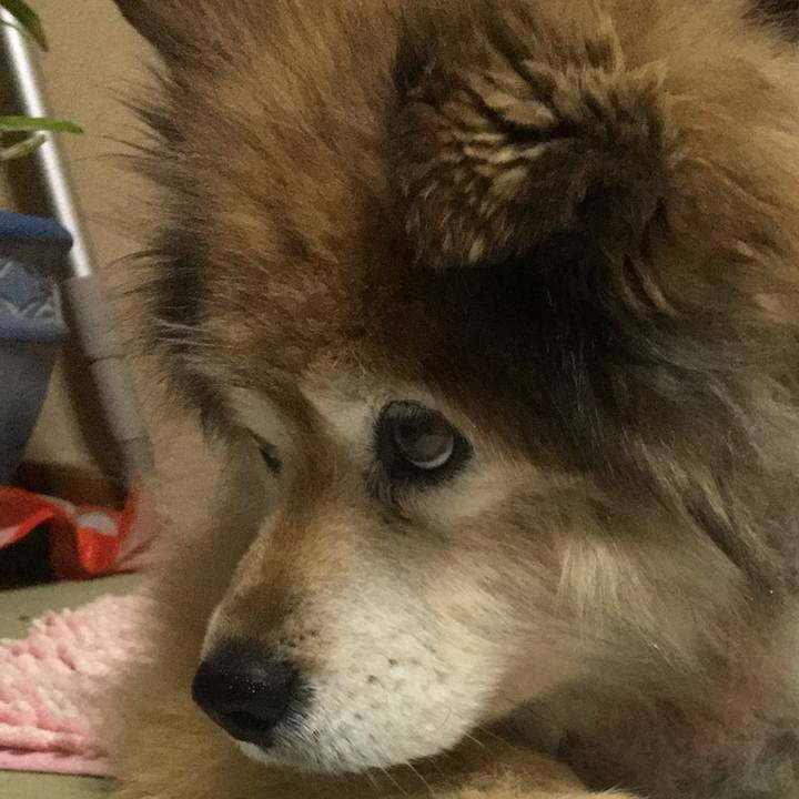 336ada9a fa9d 4dce a2e2 ce47ddcbf978 1605400755541