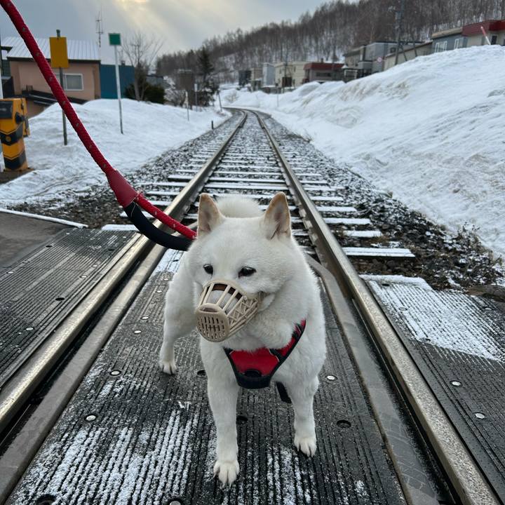 336ae095 577e 486b aaa4 d50e4f1e62d4 1711924212032