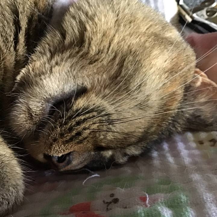 336b40fe 612c 4f9e bfcb ae996d5642ac 1755417275939