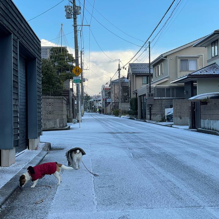 336b46e5 4ff9 41f2 9b35 2c4efecce0cb 1641945412567