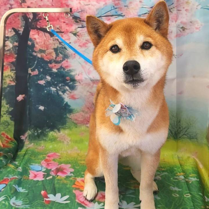 336b6329 4fe7 41a2 9296 b89717e3cd51 1744195574687