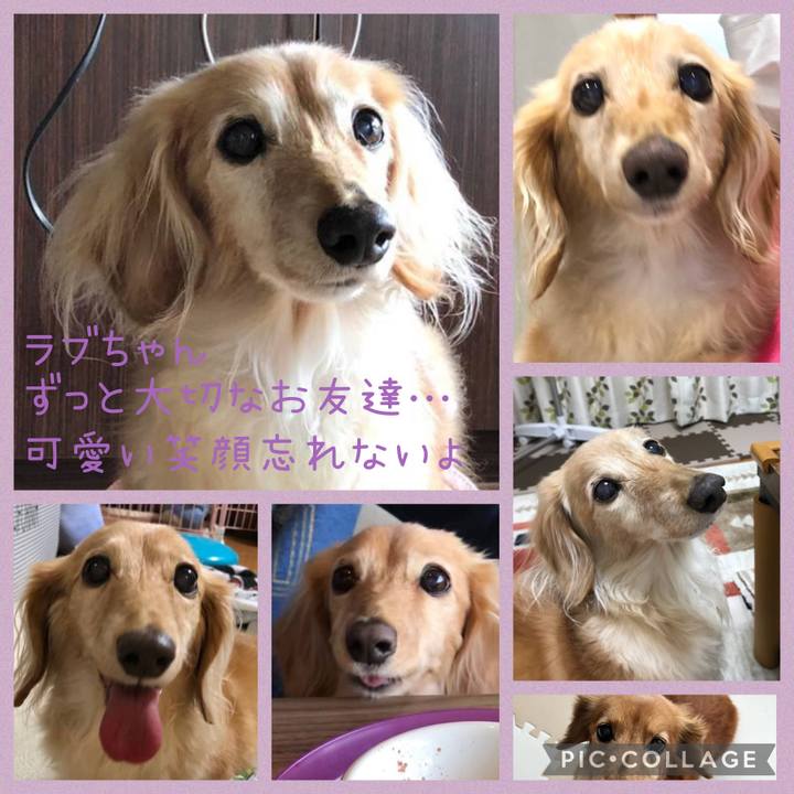 336b85fa e9a0 42f6 9fbb e456bef63967 1647749281801