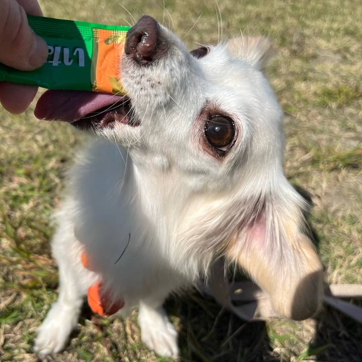 336b8a1e 519f 47fc bff5 3a399389f243 1698727844627