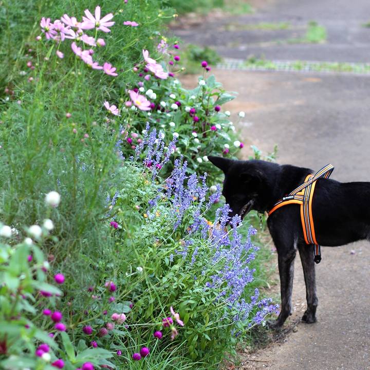 336b9952 f6e9 4d30 a187 0462ccbce57f 1600901014243