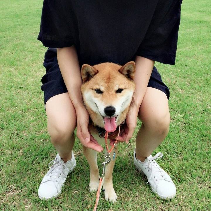 336bab2b 5652 4151 9358 013bacfd1fe1 1530090054715