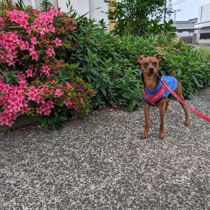 336baca5 97d1 4212 bc17 d0922bb8f93f 1715990511904