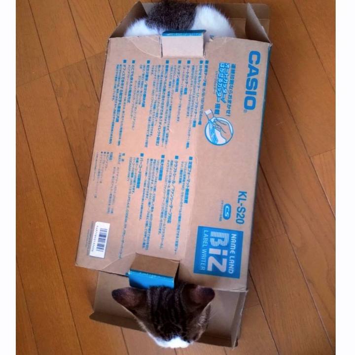 336bae7f 5ded 4ce3 8c62 f322904e94ff 1758952107564