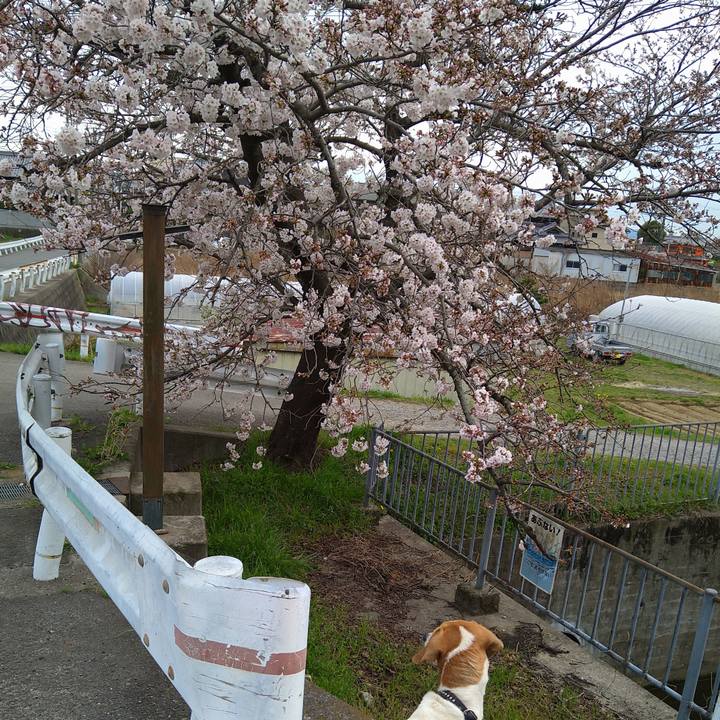 336bb9f6 e9a2 4a00 955d 68e8cc160525 1648454717743