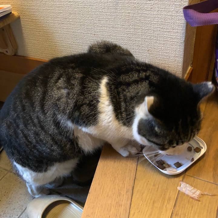 336be117 8396 4710 a913 a9003a505f29 1517472840813