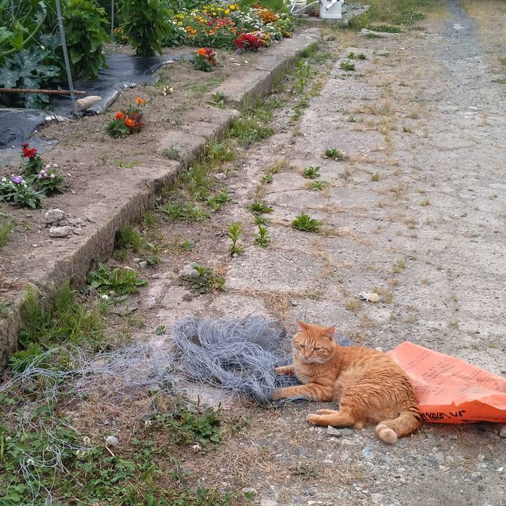 336bf056 29ff 43cf baa5 e2e90ad7a8d4 1718704897710