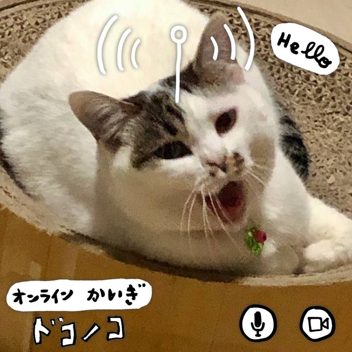 336bffb1 b418 499d 981a 3c3f2b04b17a 1590923383601