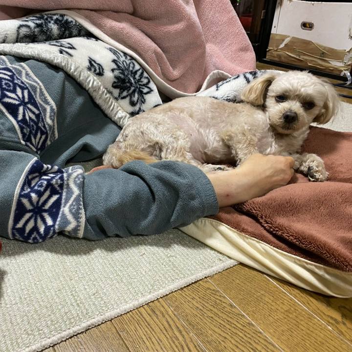 336c3047 7f90 437d b0ef d72aae58dd2d 1580215654731