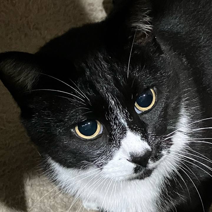 336c333b 34fb 4f41 aacd 78566dd122db 1734753198123