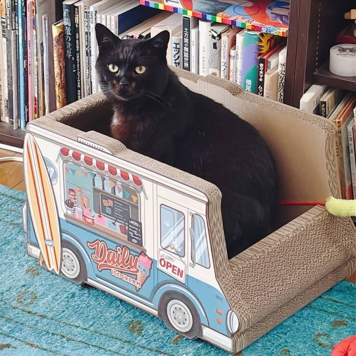 336c89ad 978c 4e65 be52 5308c3576bf7 1741938166285