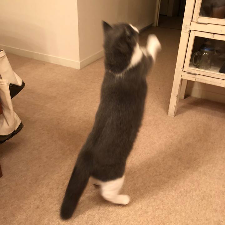 336ca45e 161b 4f9b bce6 1f01bbe46389 1538481349331