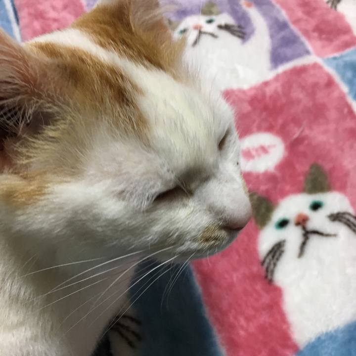 336ceffb 83d6 43fc 9b63 299cf9f23b8c 1524779403829