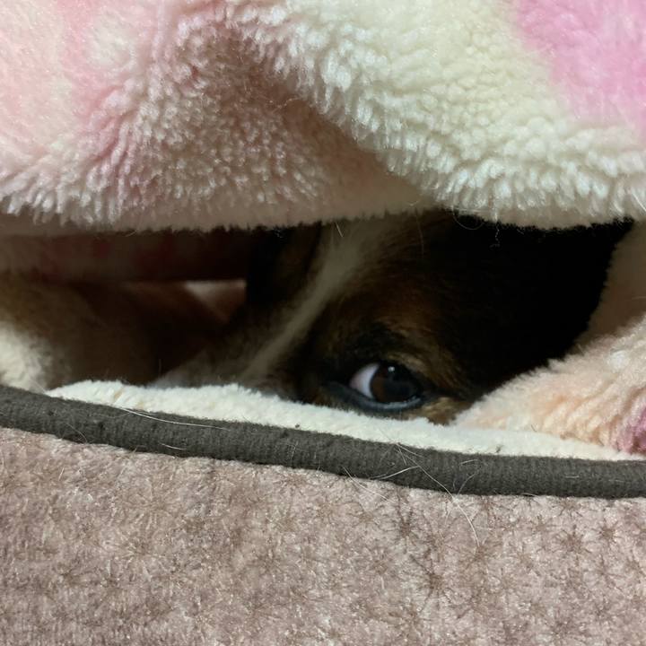 336cfc3f b030 402e 910d 08258eca9023 1579610225423