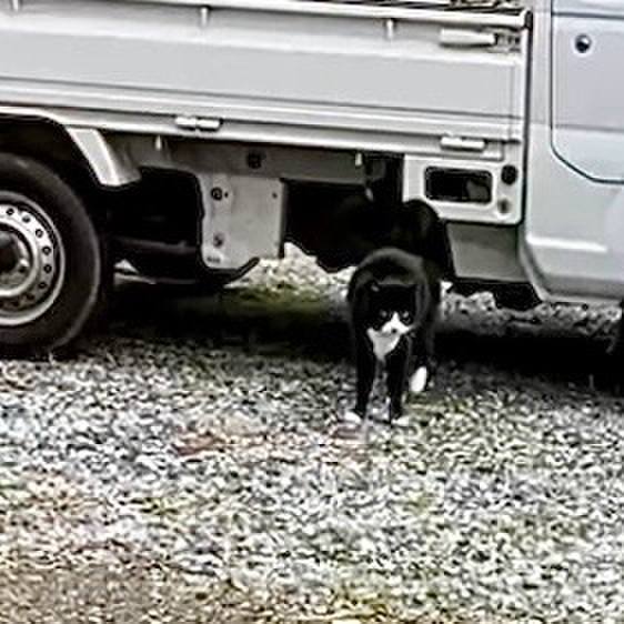 336d0a6d 7a97 40da 839f 3dd932cadb4b 1742177148433