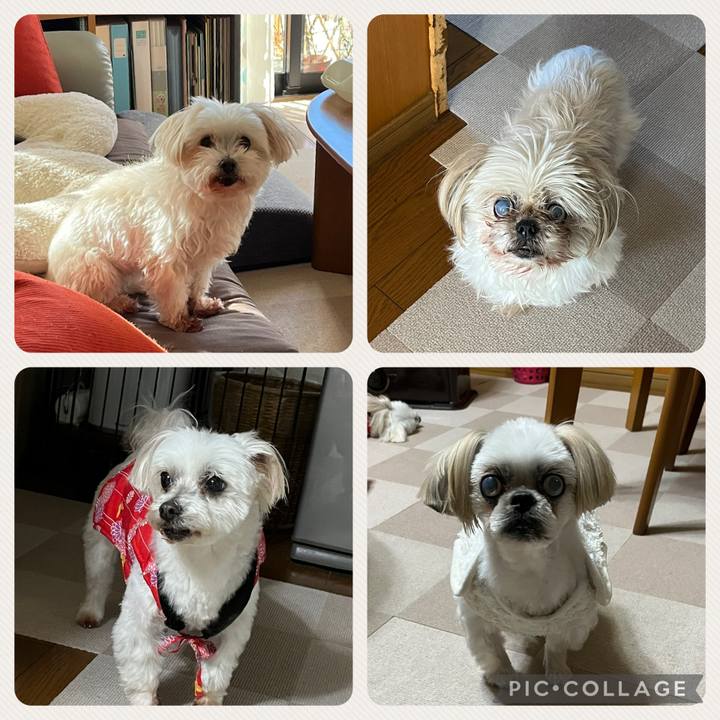 336d537f 44ba 426e b040 3285aaf3e587 1736550767032