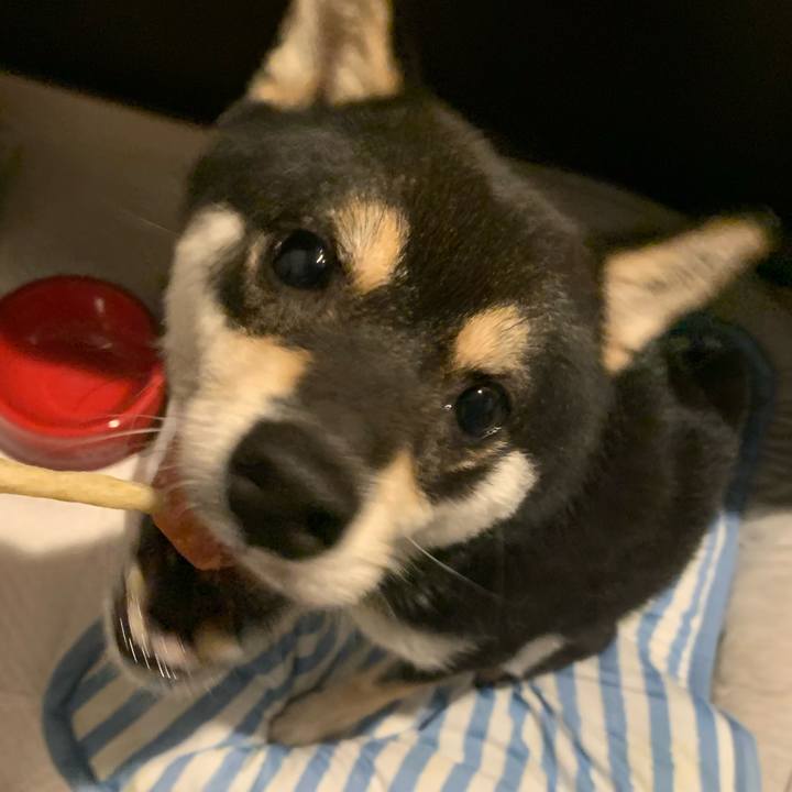 336d54c6 4f7b 4858 bb34 a42e319d3b7d 1658929205725