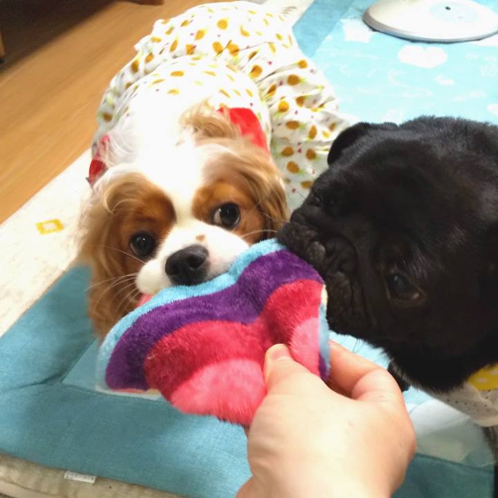 336d5762 2fad 451f 9f38 88b7315d1082 1595574338455