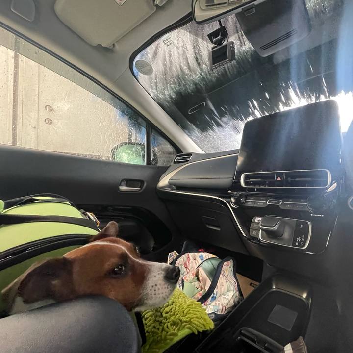 336d734d d1d2 40f9 9383 1284325555ff 1642753192645