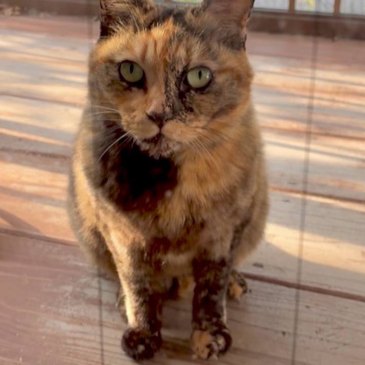 336d75a9 a831 4e2e ba14 804558b5279c 1765158792919