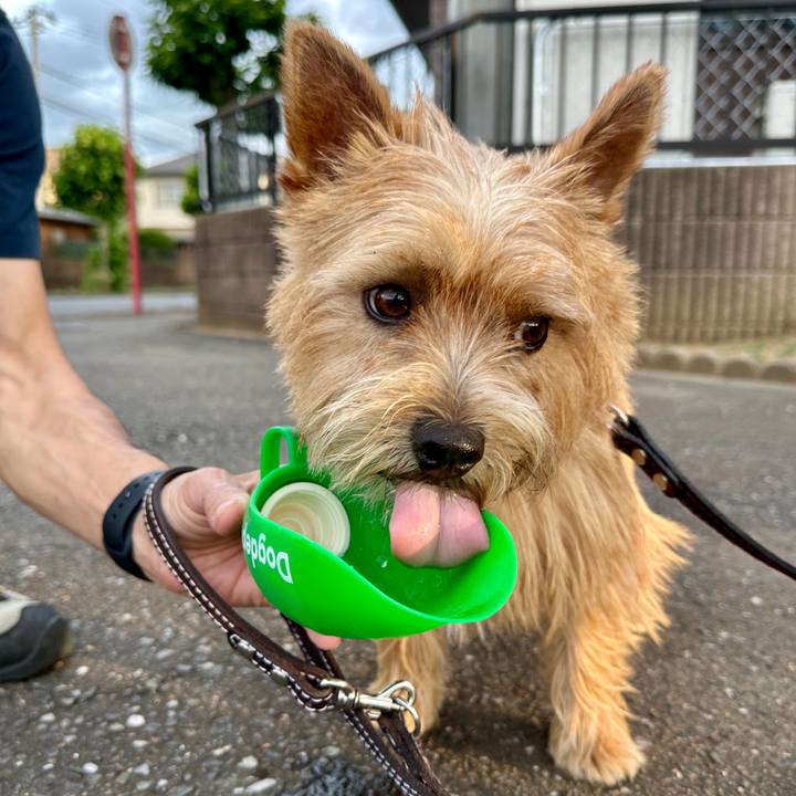 336dbdbc e324 4696 bfc8 678d5a69aab7 1750509739817