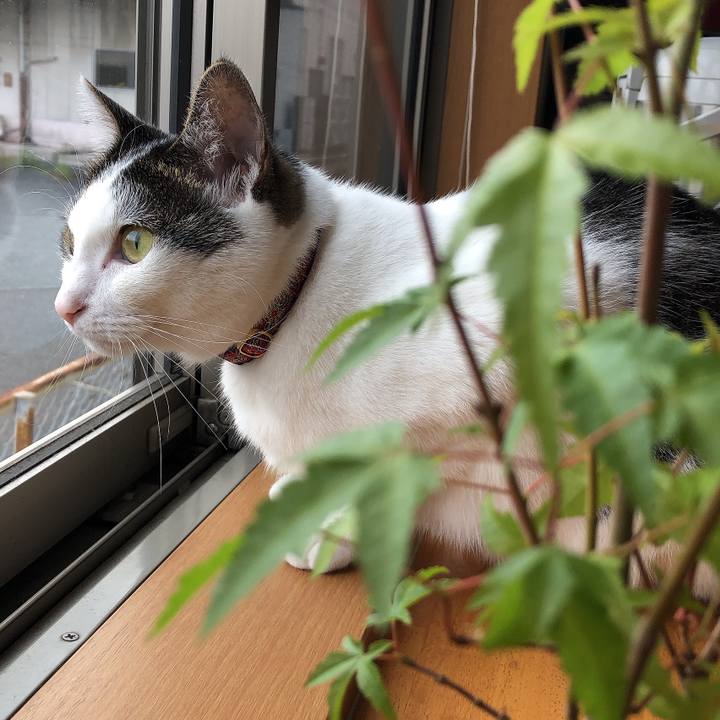 336de3e3 87a0 4072 be4a 79e3e185faef 1632618345755