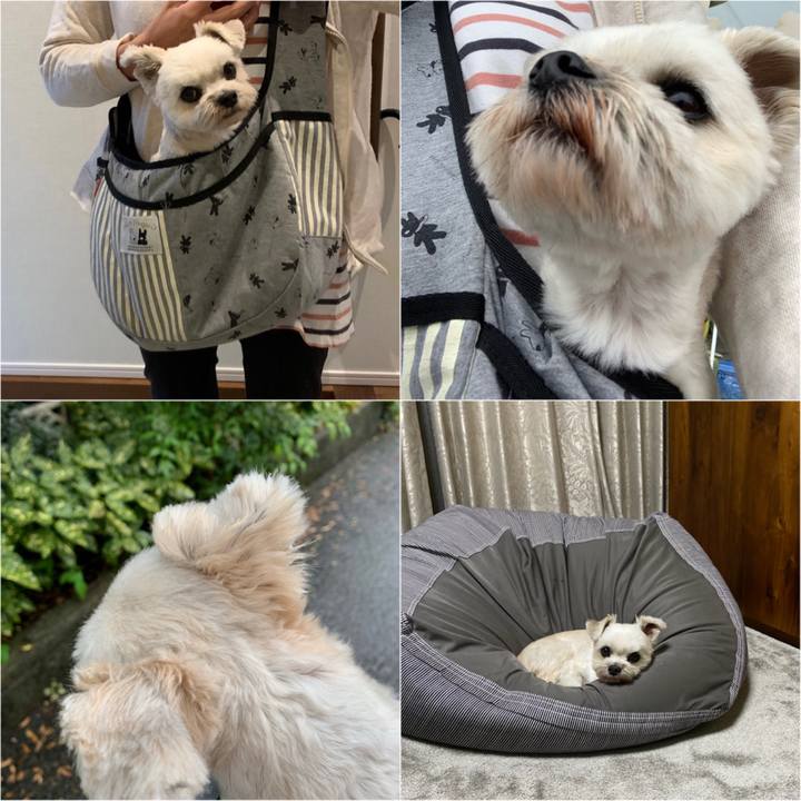 336e37ae 22d4 475c 8009 607a5fae1634 1602128782444