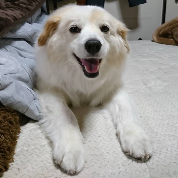 336e69b2 bc36 4ce9 9448 4674b64a5f0a 1525081790850