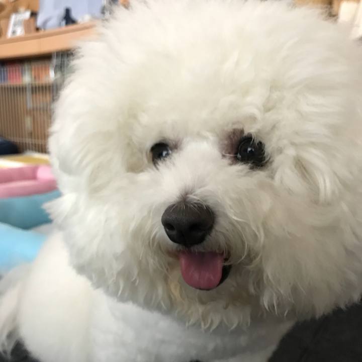 336e6aab aecf 49a2 9e45 6867489eb3c1 1527719807456