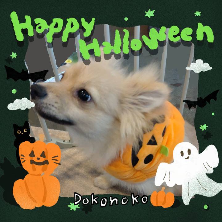 336e930a f533 461d 9adb 7323655796c4 1730339562625