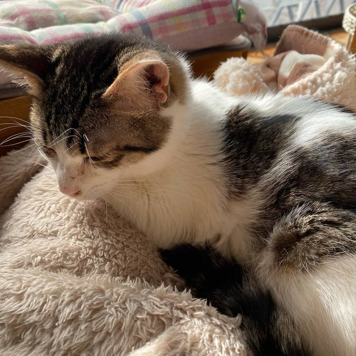 336eb4e6 1760 4c3a b0cf c0af3e91c802 1706151995593