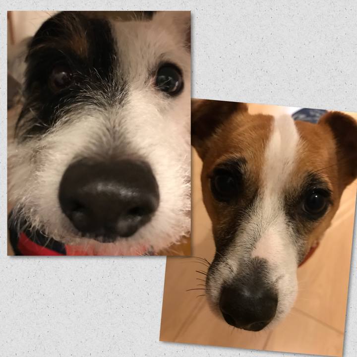 336edca4 d012 49cd bc16 4aedfff52904 1514287538580