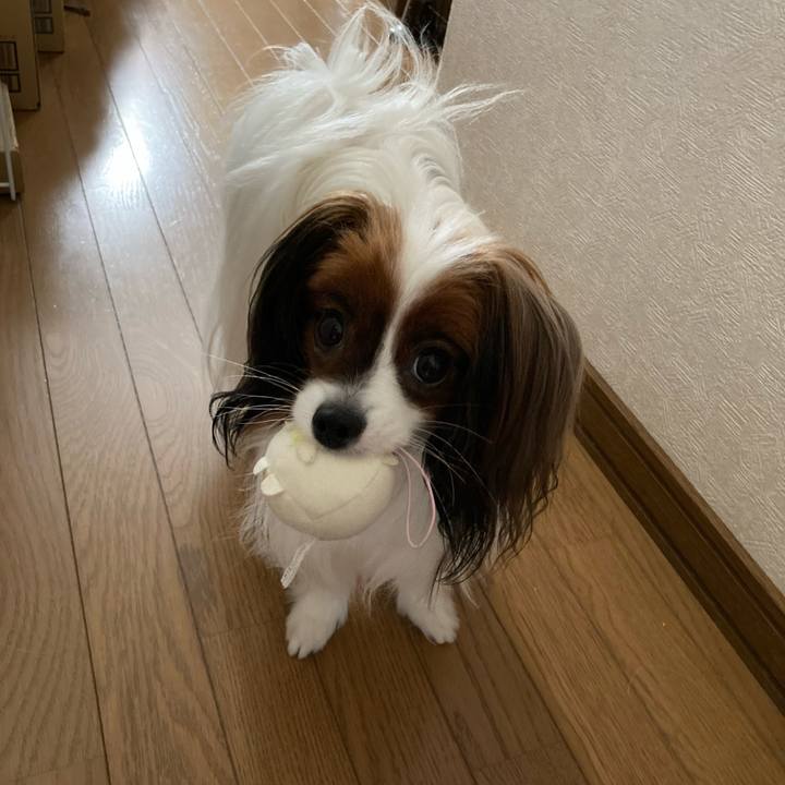 336f097c 4b21 4e2a a6d0 047ab40b6f1e 1631497574425